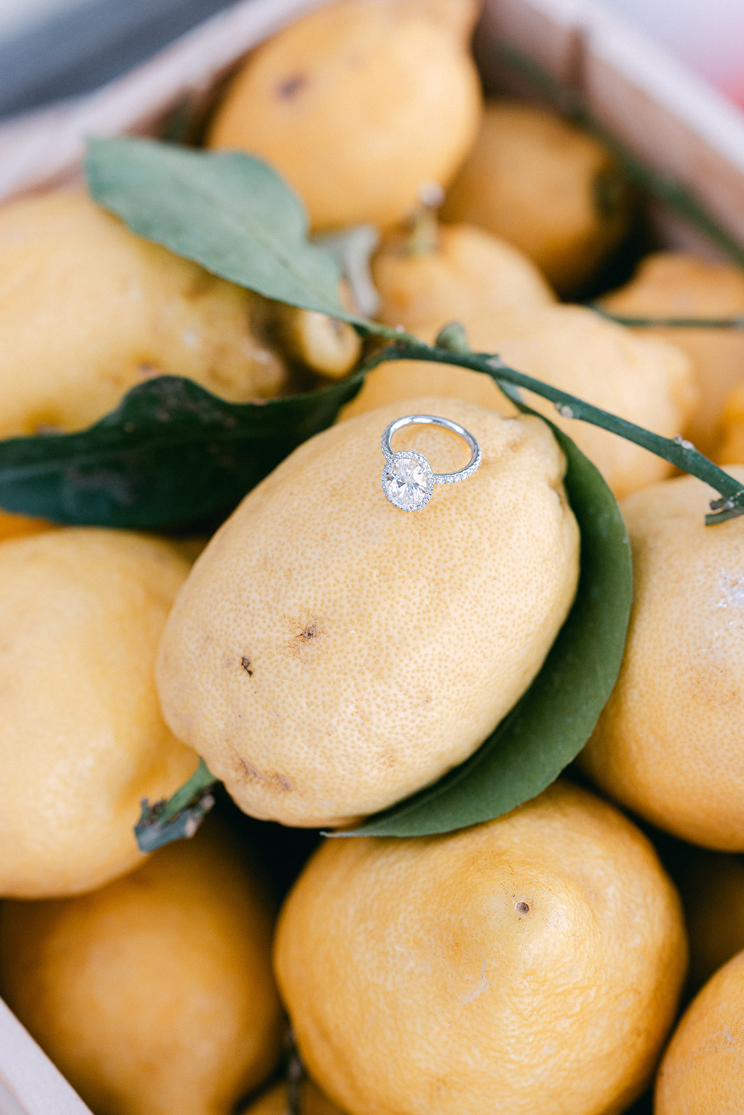 Andrea Gallucci - Destination Wedding Photographer- Amalfi Coast Positano Santorini Barcellona Rome Ravello Paris New York Andrea Gallucci - Destination Wedding Photographer- Amalfi Coast Positano Santorini Barcellona Rome Ravello Paris New York