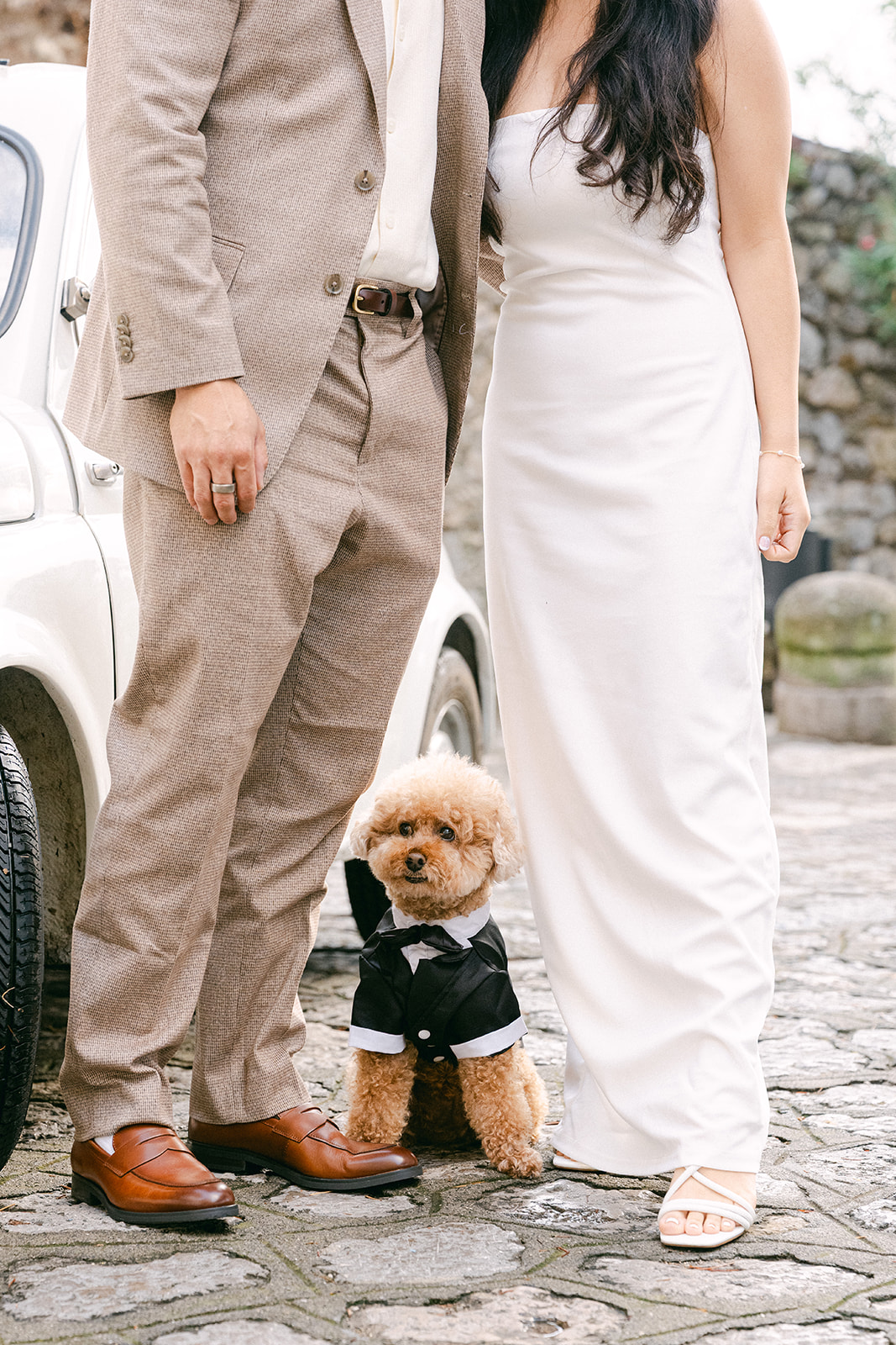 Dog sitting with couple during Amalfi Coast engagement photos