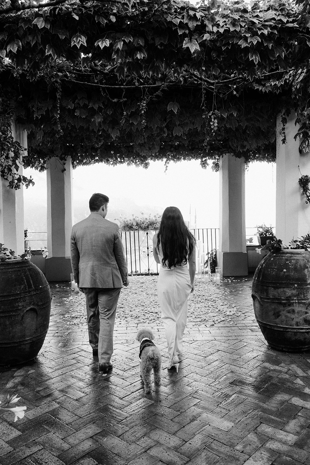 Walking into surprise proposal in the amalfi coast with their puppy
