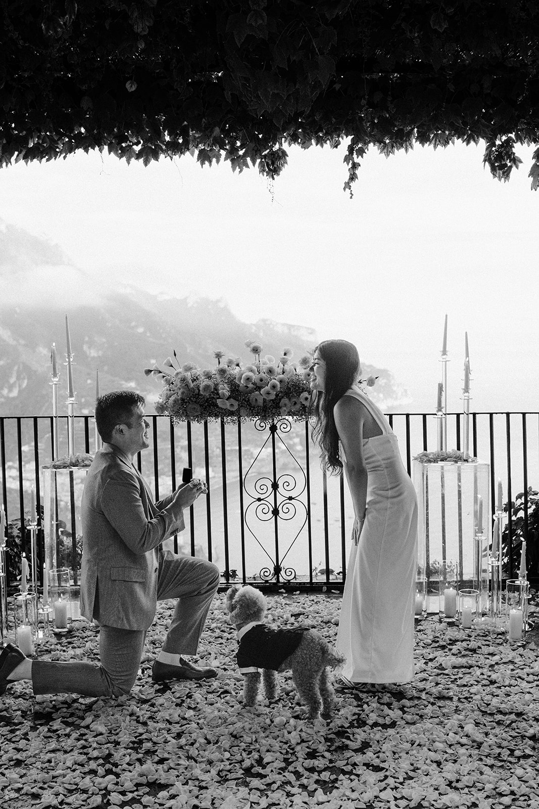 Emotional surprise marriage proposal with puppy in Ravello Italy