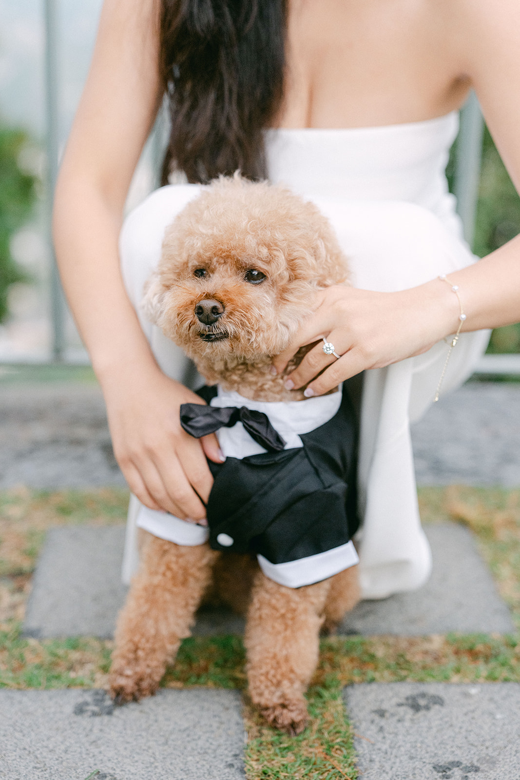 Bride holding dog after surprise proposal in Ravello
